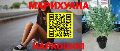 дживик Камышлов