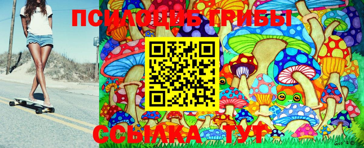 Псилоцибиновые грибы Psilocybe Ленинск-Кузнецкий